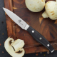 Malý kuchařský okrajovací nůž Dellinger German Samurai